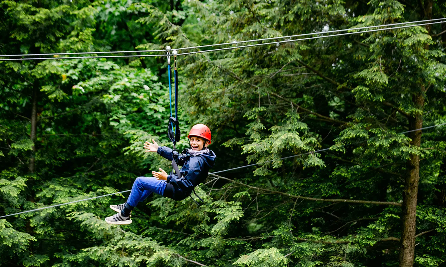 Aerial TreeTop (High Ropes) Adventure for 1 Child or Adult this Summer