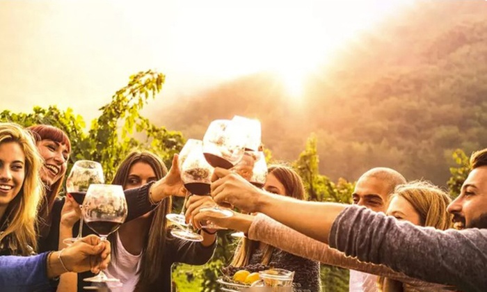 Acoustic Vibes in The Manor Estate Wine Garden for Up to Four People