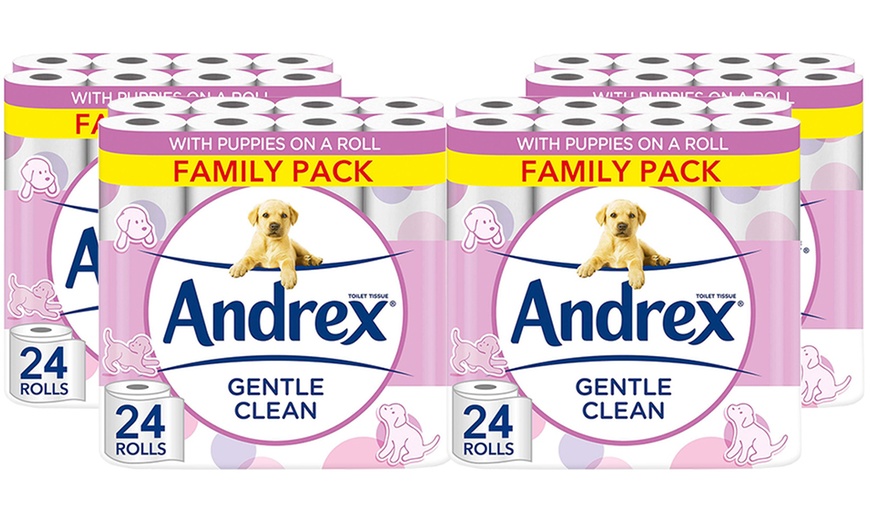 Image 6: Up to 96 Rolls of Andrex Toilet Paper