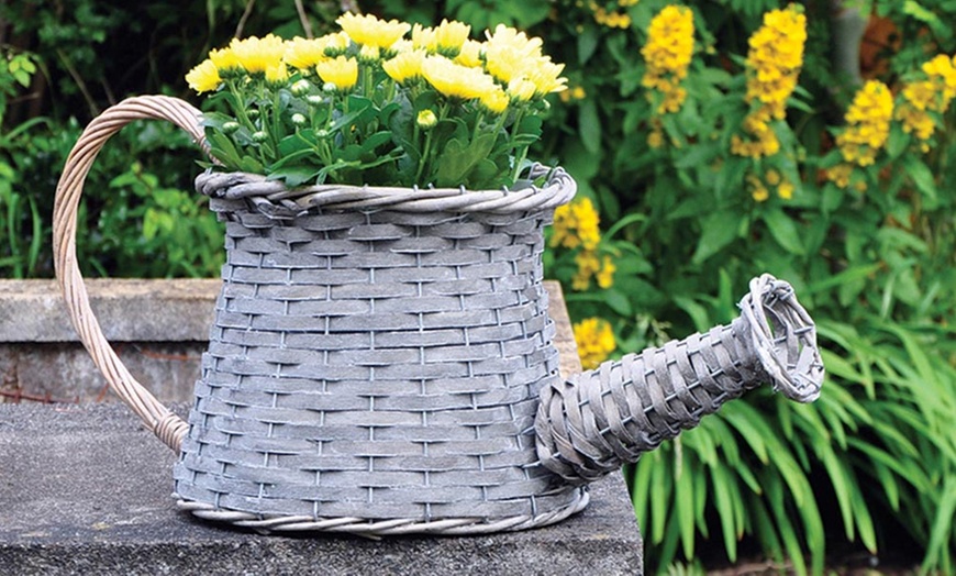 Image 1: Novelty Wicker Planters 3 Styles