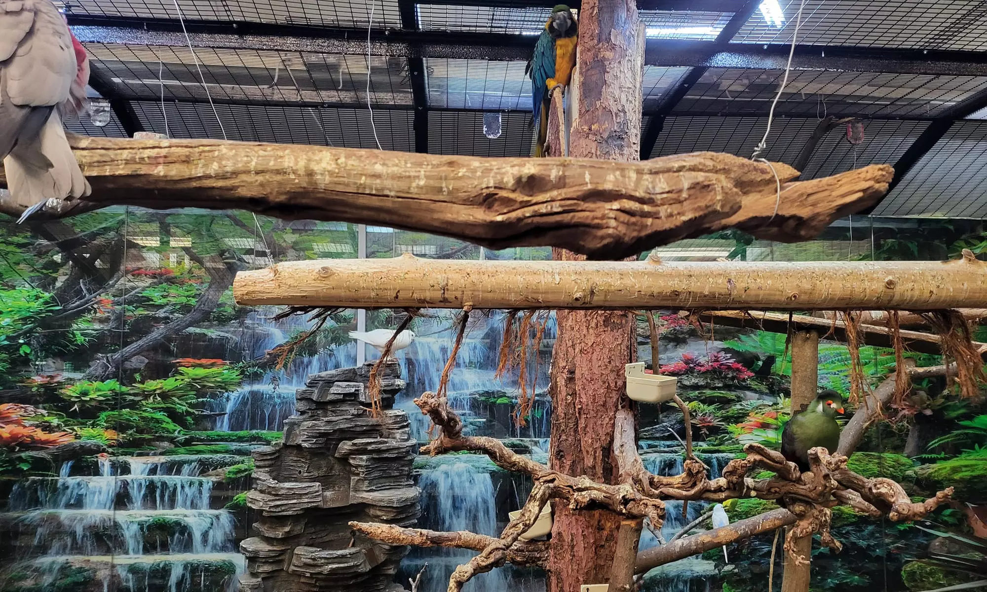 Up to 14% Off on Zoo / Animal Park at Get To Know Animals