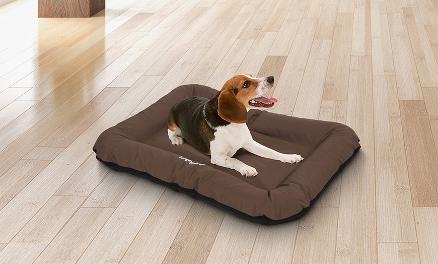 Image 2: Large Flat Dog Beds