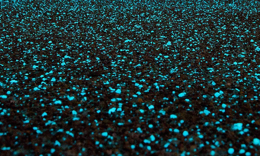 Image 3: Glow in the Dark Pebbles