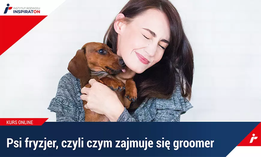 Kurs online: Psi fryzjer – kurs groomerski z Instytutem Rozwoju (do -70%) - Primary Image
