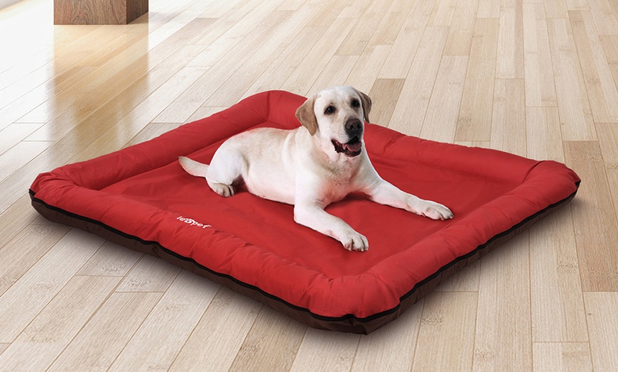 Image 19: Large Flat Dog Beds