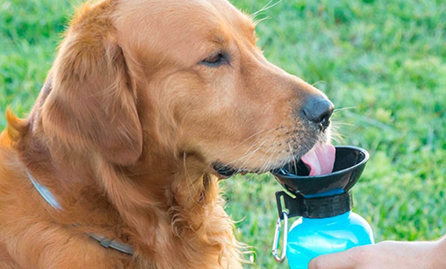 Image 1: Portable Dog Drinker Bottle