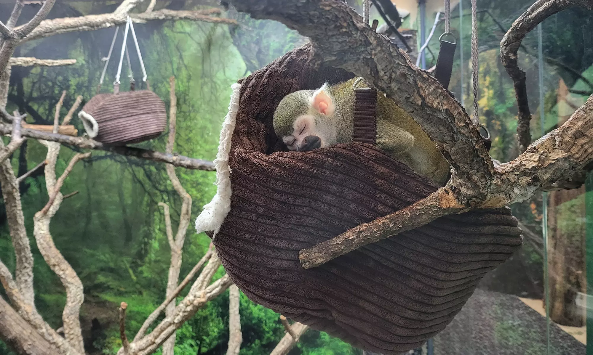 Up to 14% Off on Zoo / Animal Park at Get To Know Animals