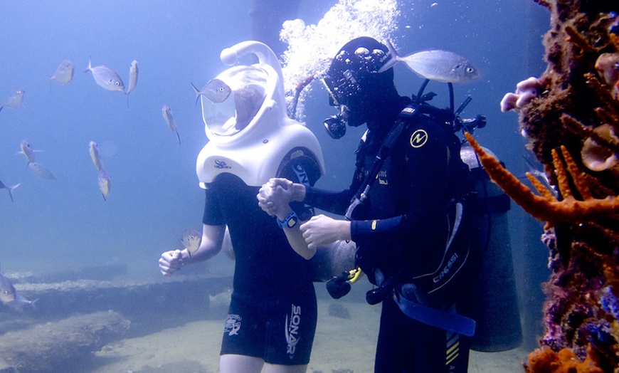 Image 12: Undersea Walking Tour