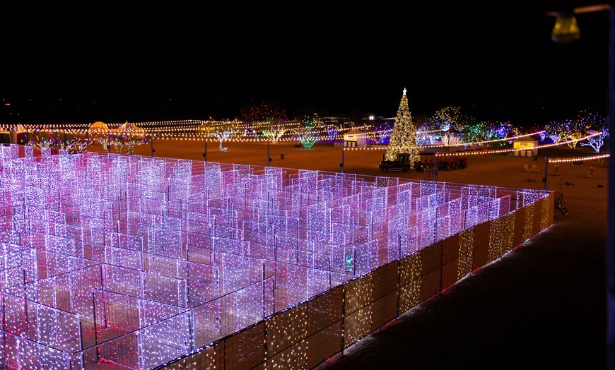 Image 4: Desert Farm Lights - Holiday Festival Admission for Two