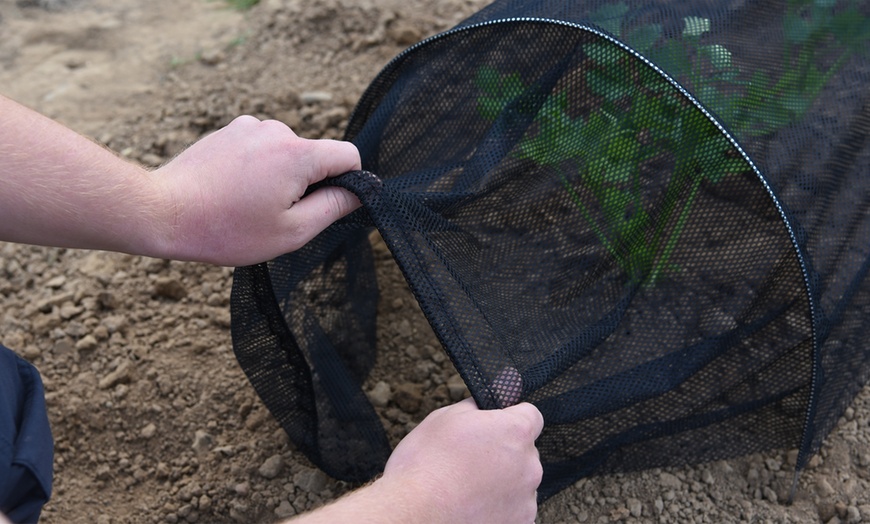 Image 2: One, Two or Five Garden Grow Greenhouse Net Tunnels