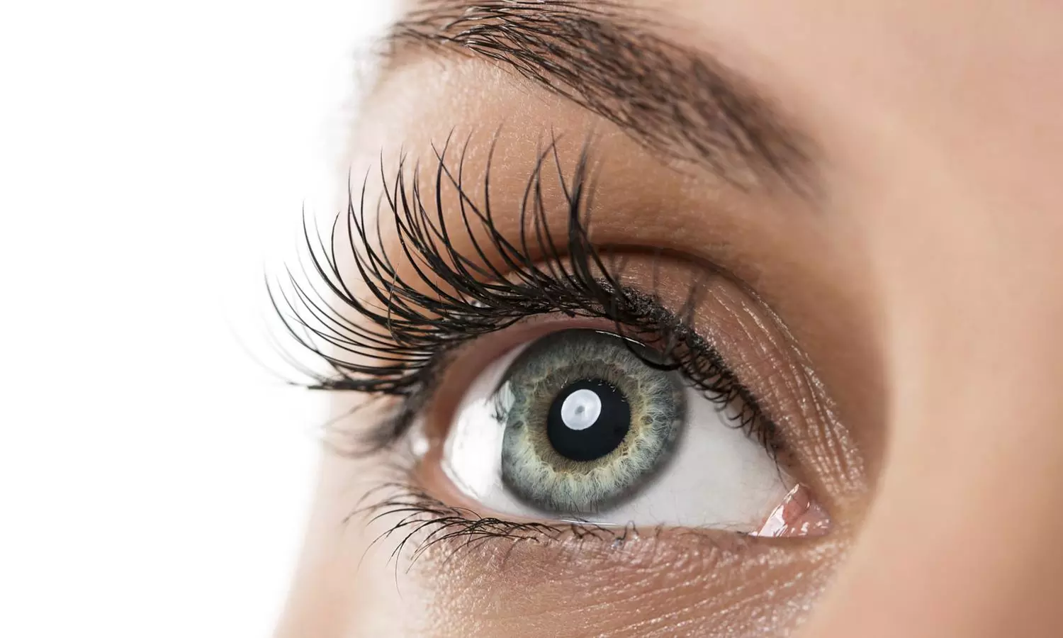 $90 for $150 Worth of Services — BW Unlashed - Primary Image