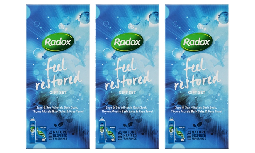 Image 4: Radox Feel Restored Gift Set