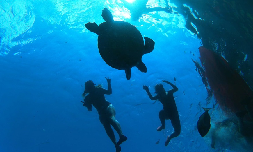 Image 4: Explora la costa de Palm-Mar con una aventura en kayak y snorkel