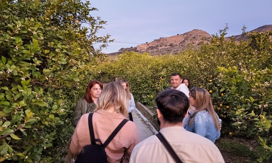 Image 5: Ruta guiada por el Valle del Azahar en flor con cata de vino y queso