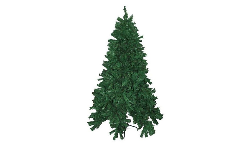 Image 2: Christmas Trees
