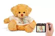 1 o 2 ositos de peluche con foto personalizables con Printerpix (hasta 47% de descuento) - Second Medium