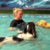 Image 9: Water Fun Awaits: Doggy Fun Swim Session (Owners Welcome to Swim Too)