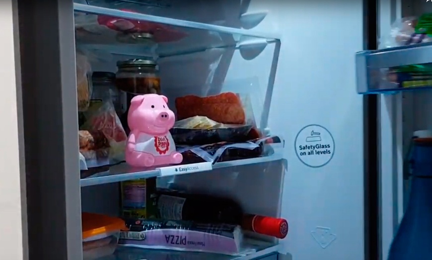 Image 4: Oinking Fridge Pigs