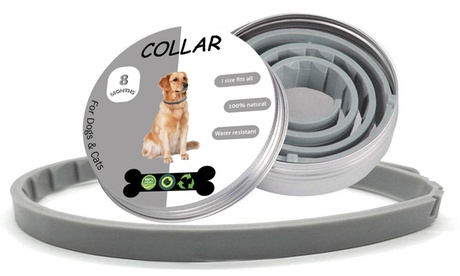 Collier anti-puces et tiques pour animaux de compagnie