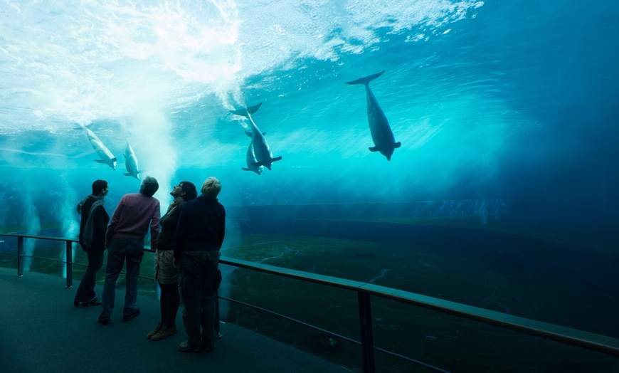 Image 4: Genova: 1 notte con colazione, Acquario, Biosfera e Mostra Illusioni 