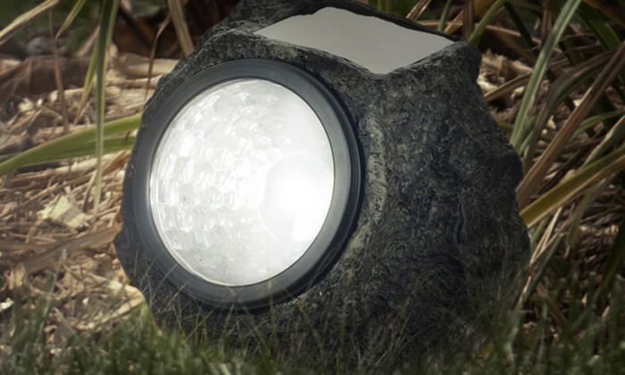 Amazon Com Rock Landscape Lighting