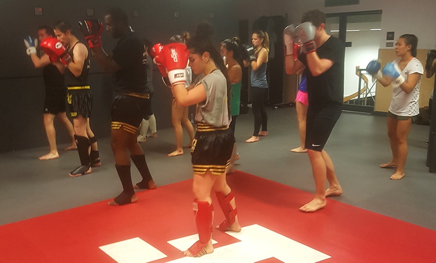 Image 2: Five 105-Minute Muay Thai Classes