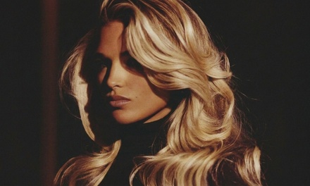Full Highlight - Atelier by Darci
