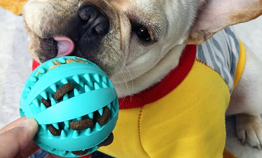 Image 2: Dog Chewing Ball Toy