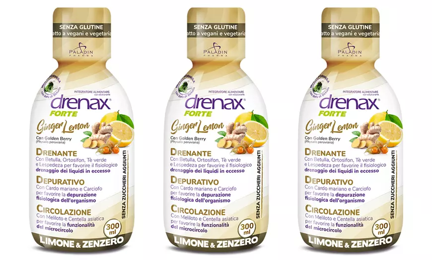 Image 5: 3, 4, 6 ou 9 flacons de compléments alimentaires "Drenax Forte" 300 ml