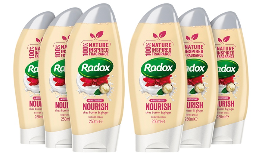 Image 13: Radox Shower Gels 250ml