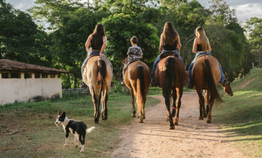 Image 4: Ruta a caballo con comida en plena naturaleza