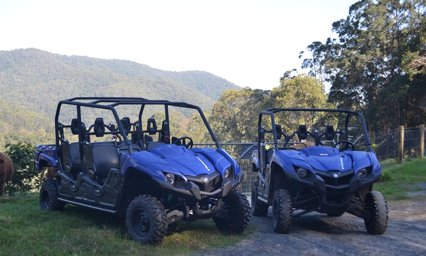 Image 2: Thrilling 4WD buggy tours and engaging animal encounters await
