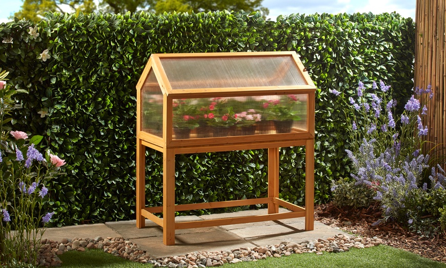 Image 23: Garden Grow Raised Wooden Cold Frame