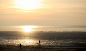 Verblijf aan het strand van Den Helder