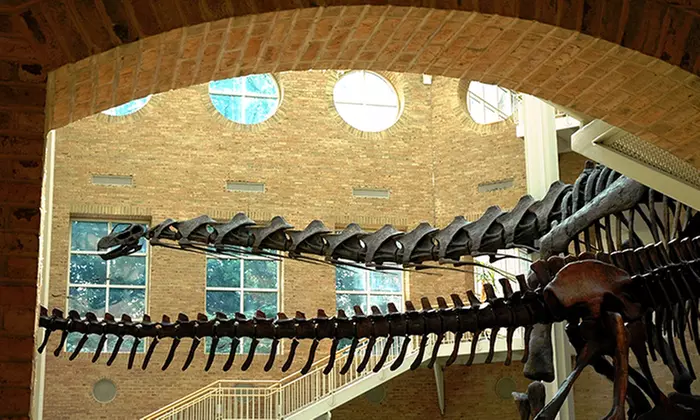 All-Day Admission or Value Pass for Two at Fernbank Museum of Natural History (up to 22% Value) - Second Medium