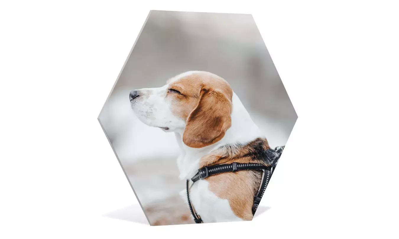 Jouw foto's op hexagon