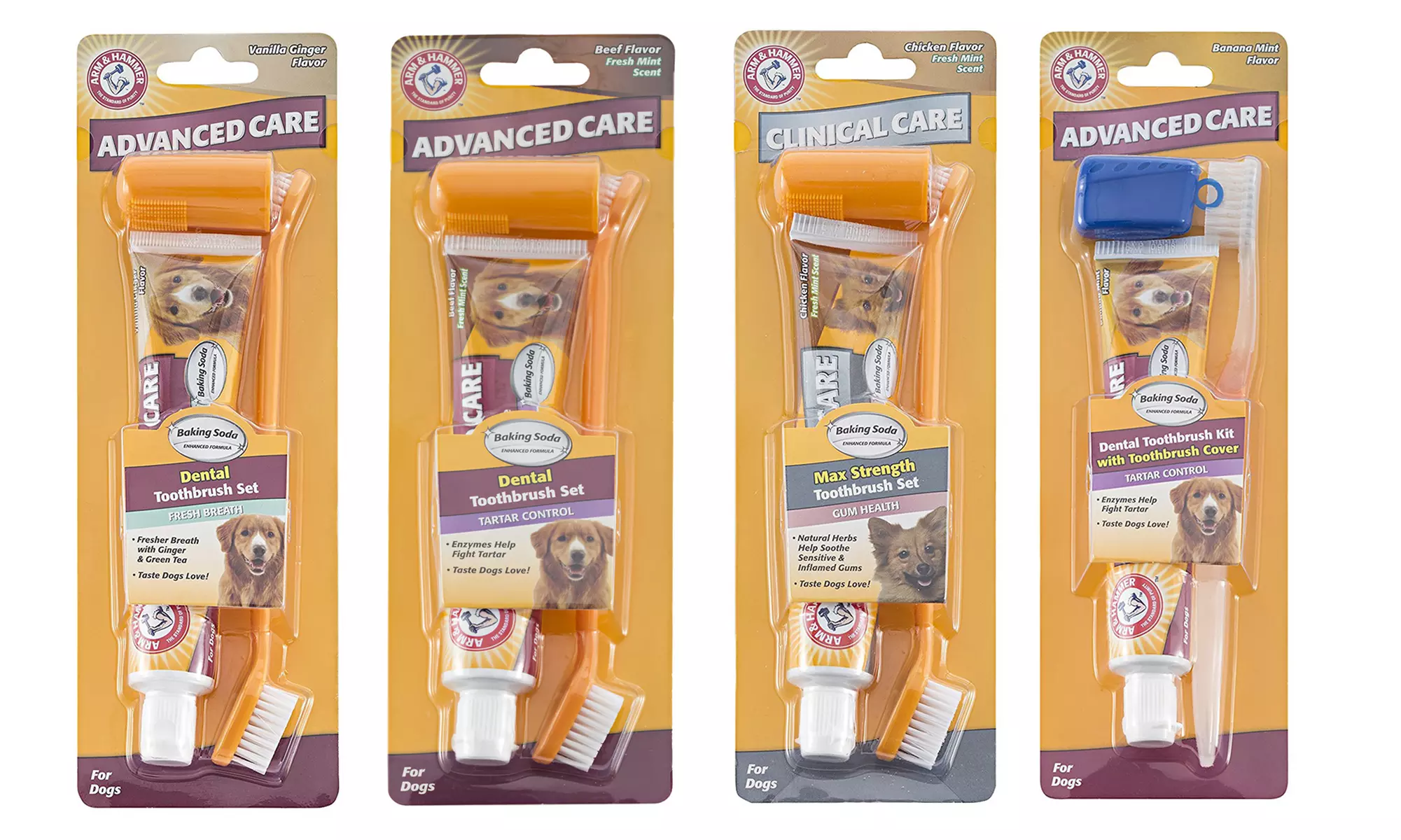 Arm & Hammer Toothpaste and Toothbrush Kit for Dogs & Puppies (2-Pack) - Primary Image