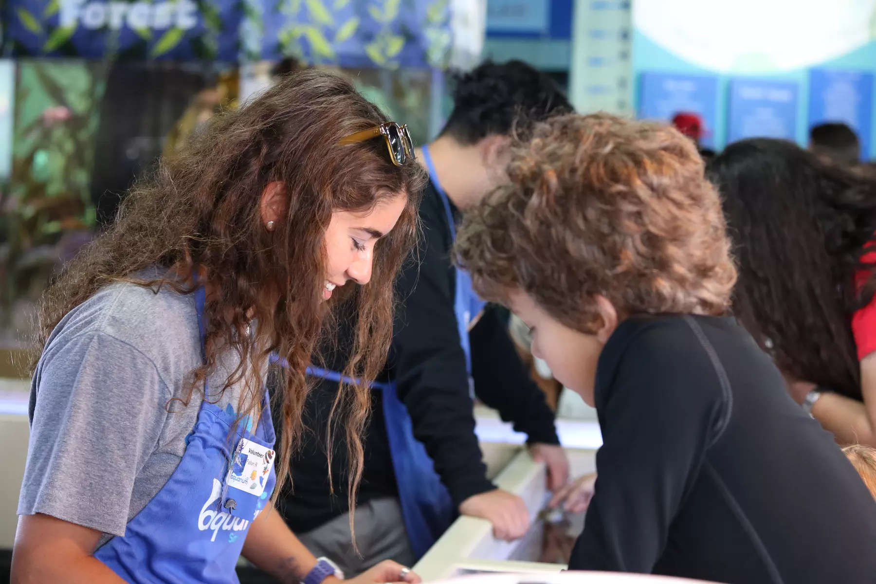Up to 30% Off on Aquarium Visit at Santa Monica Pier Aquarium