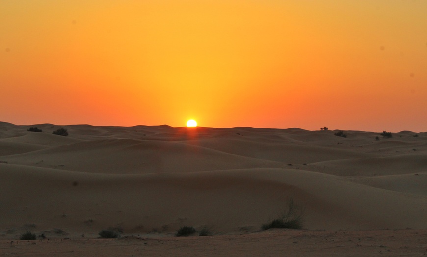 Image 3: Self-Drive Evening Desert Safari