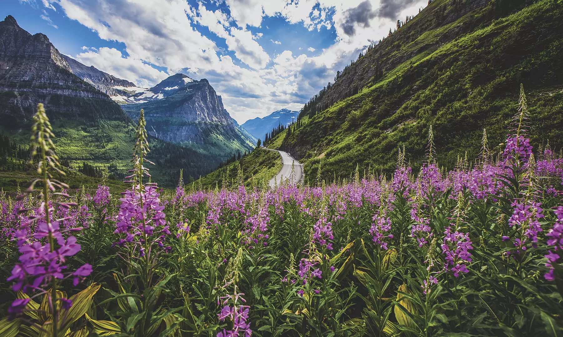 Yellowstone & Big Sky Montana Family Vacation for One Adult or One Child from Austin Adventures (Up to 16% Off) - Primary Image
