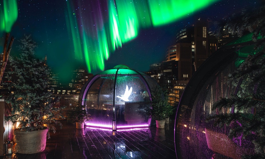 Image 6: Magical Nordic Nights Igloos | Aviary Rooftop Restaurant