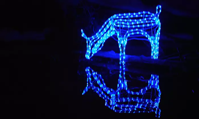 Christmas Cruise for Two or Four from CLAS Ropes Course (Up to 38% Off) - Primary Image