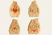 Erweiterbare Bären-Familien als Holz-Puzzle mit oder ohne Namensgravur von Justyling (bis zu 81% sparen) - Second Medium