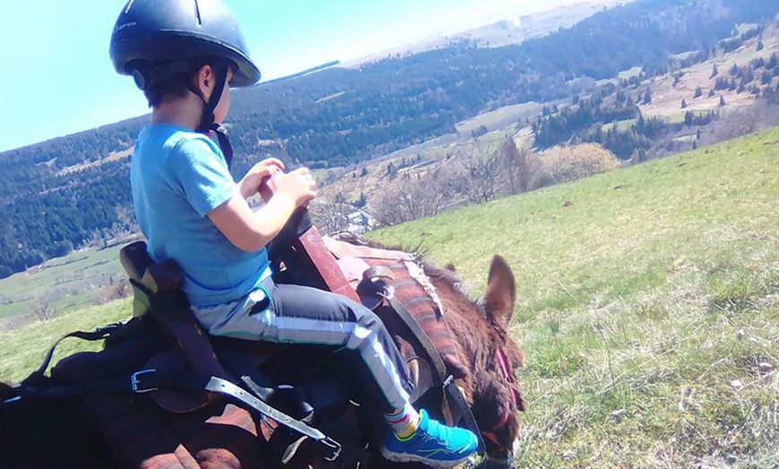 Image 4: Jusqu'à 40% de remise sur Équitation - Loisir chez Le Col De La Molède À Cheval