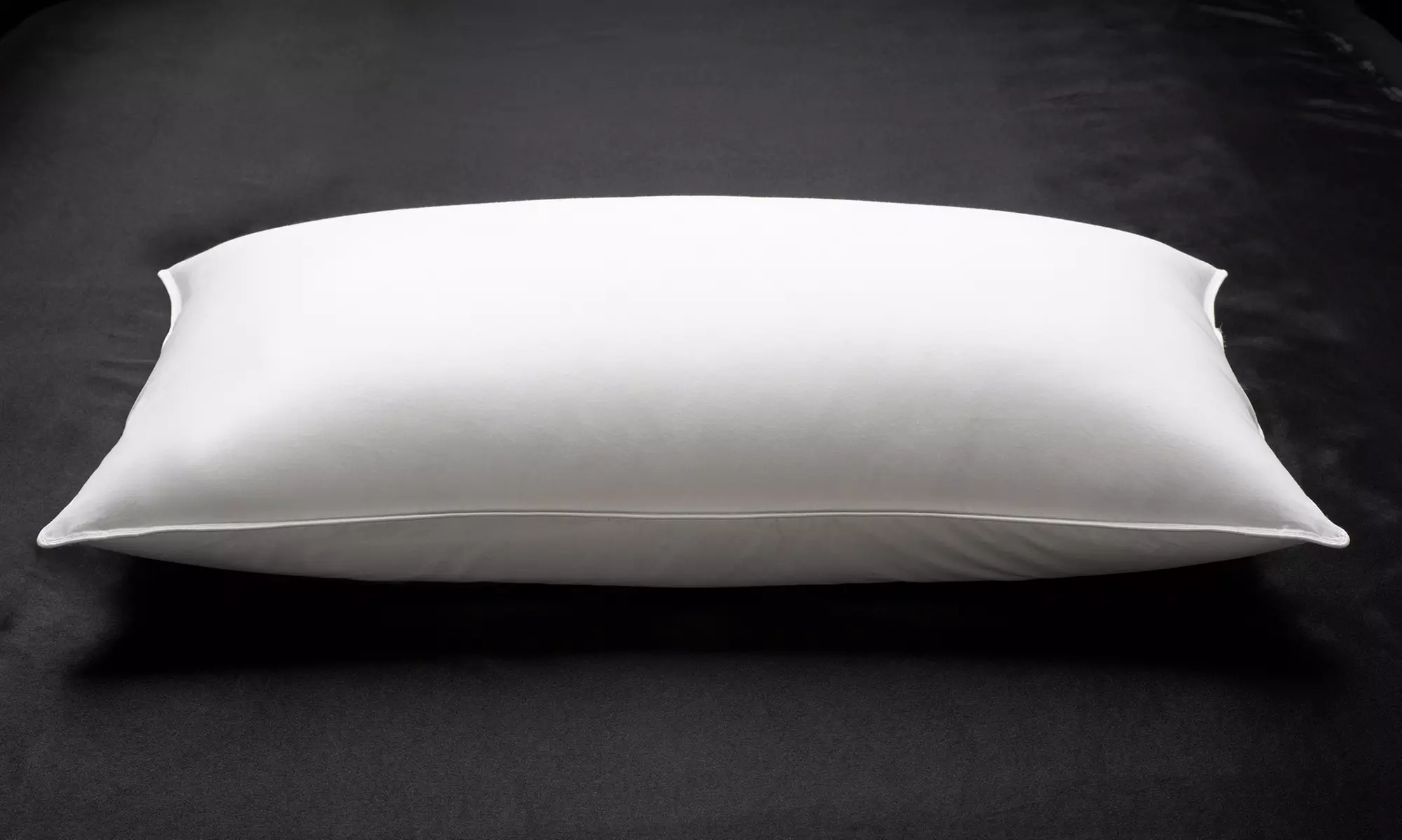 Ella Jayne Penthouse Collection RDS Certified White Down Pillow - Primary Image