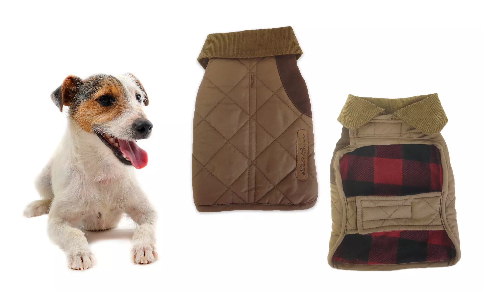 Eddie Bauer Brown Quilted Dog Coat with Suede Shotgun Patch - Primary Image