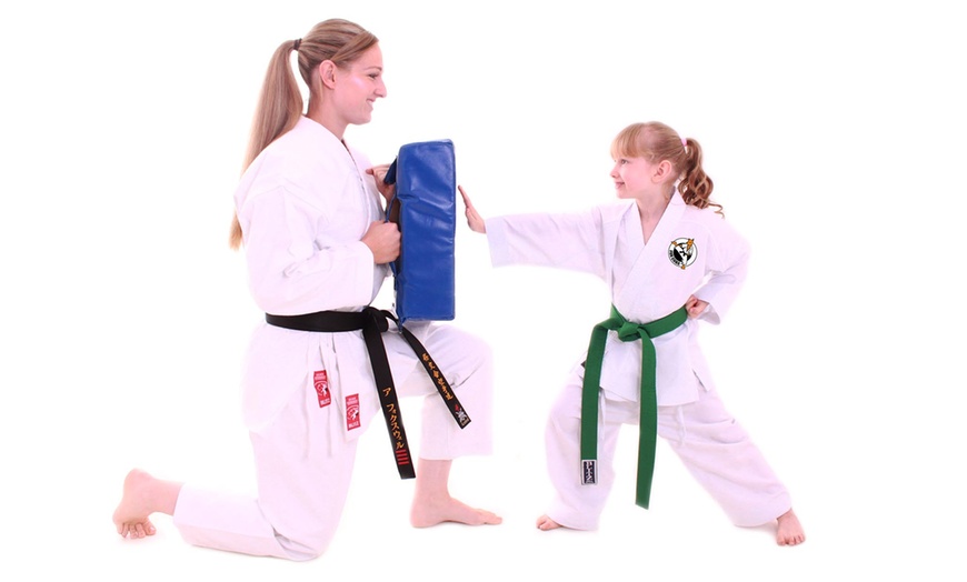 Image 2: Four Beginner Karate Lessons