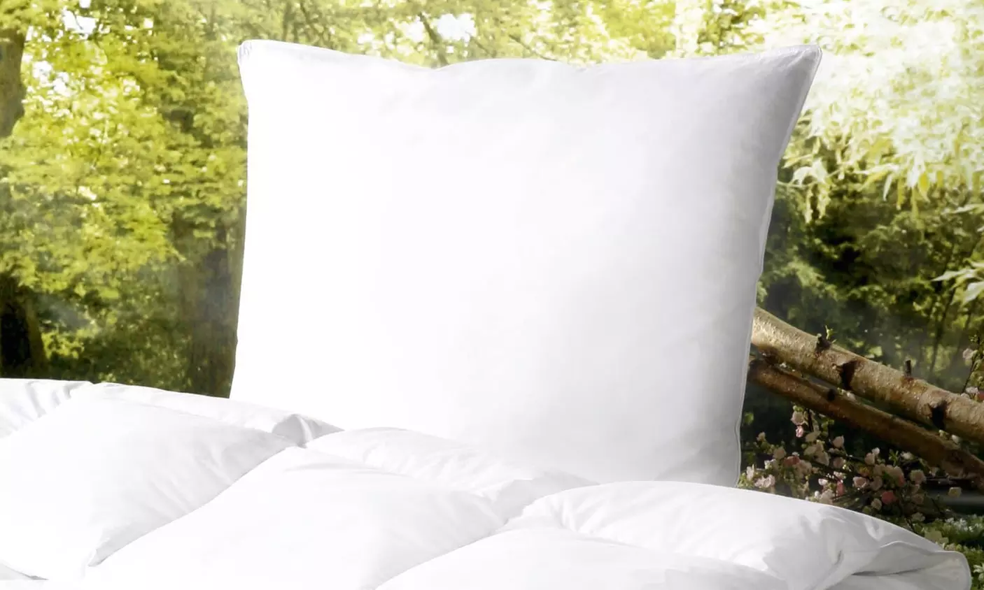 Feder- und Daunen-Kopfkissen mit Zirbenholz in der Größe nach Wahl - Second Medium