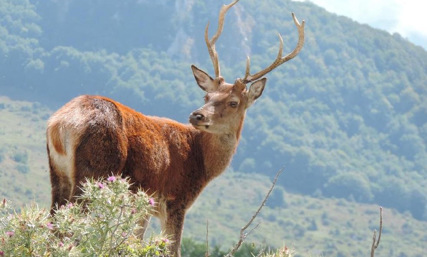 Image 4: Roccaraso: 1 o 2 notti con colazione o mezza pensione ed escursione