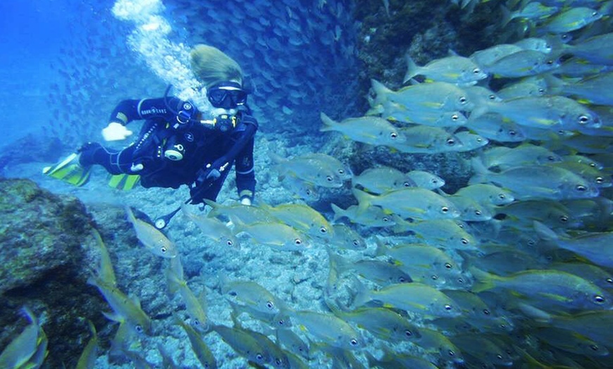 Image 6: Curso de buceo